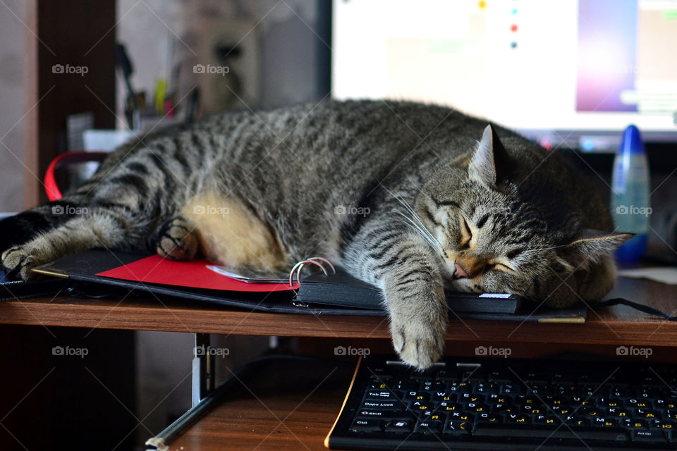 Good sleeping on work table