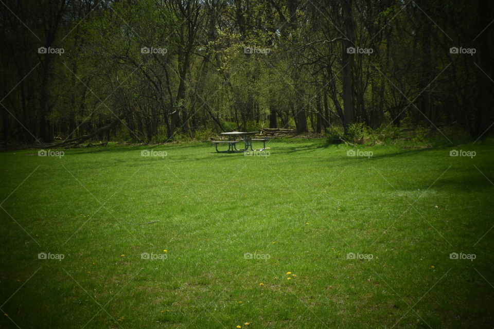 Lonely table in park