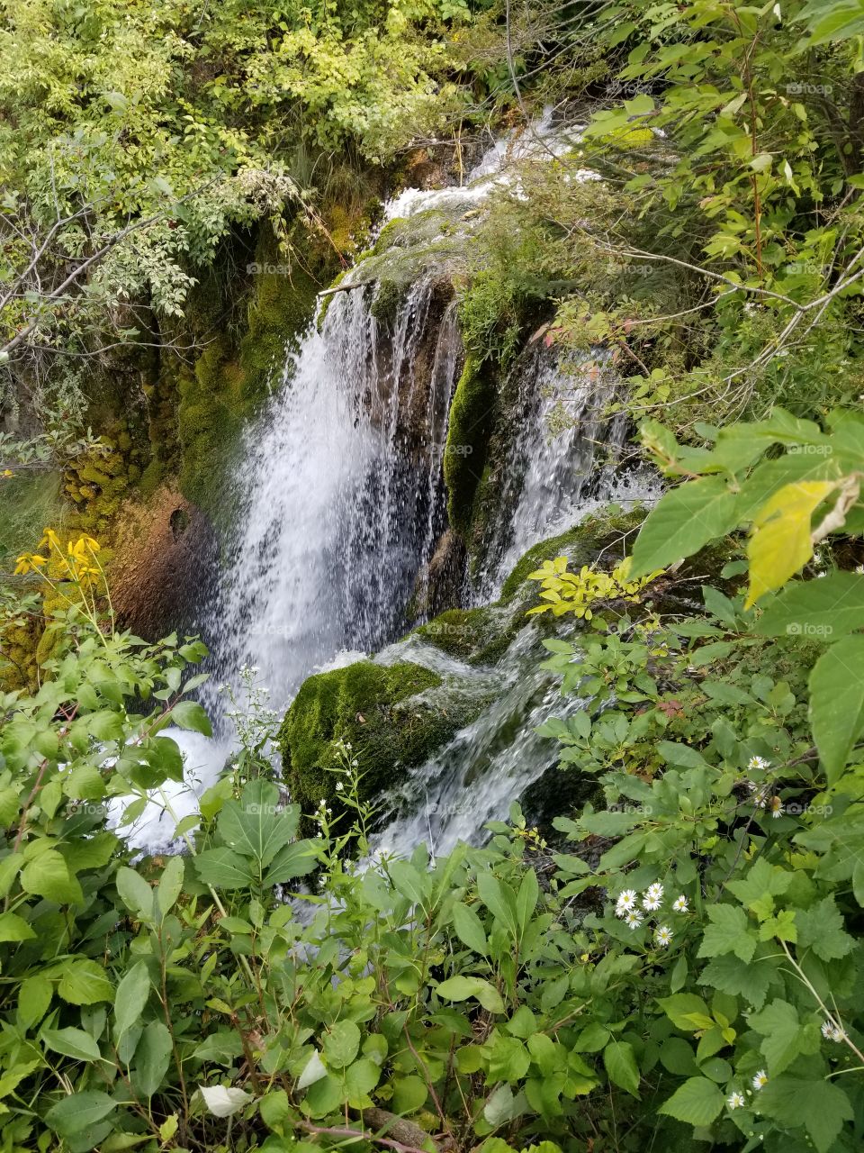 Top of the waterfall