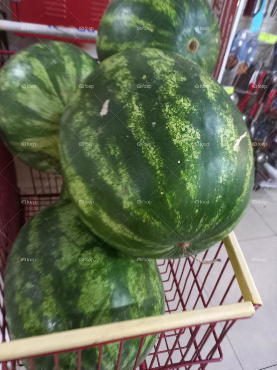 A melancia. É uma fruta, originária da África. Pode, apresentar formato arredondado ou alongado. De polpa vermelha, doce e com alto teor de água