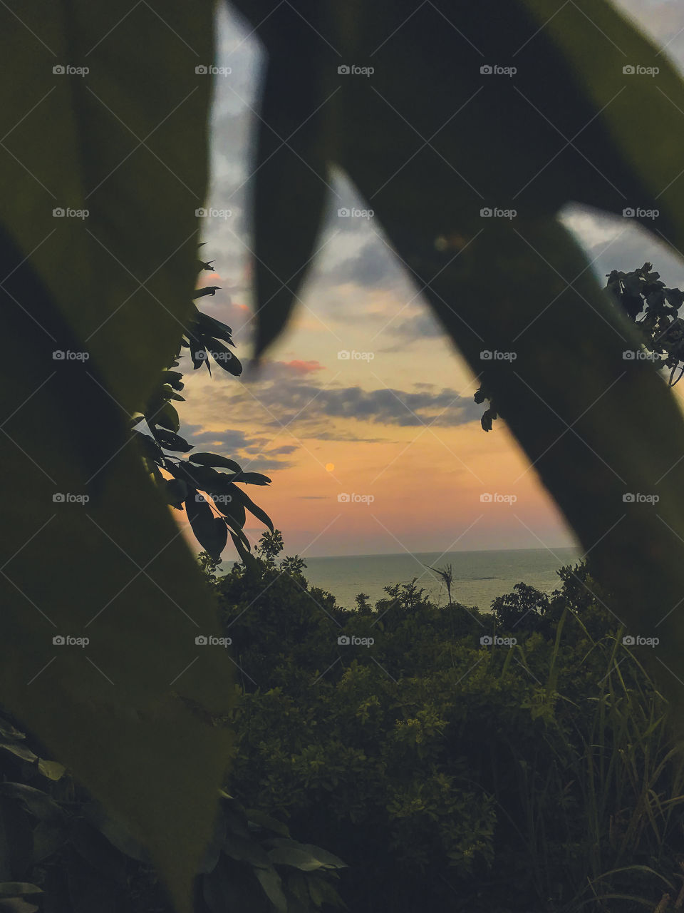 Cumuruxatiba Bahia Brasil 🇧🇷