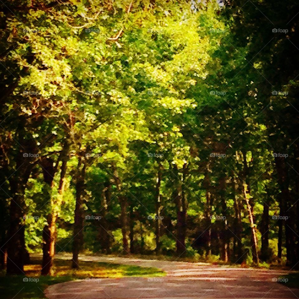 Summer stroll 