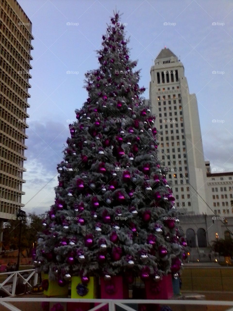 Christmas tree and Los Angeles City Hall.