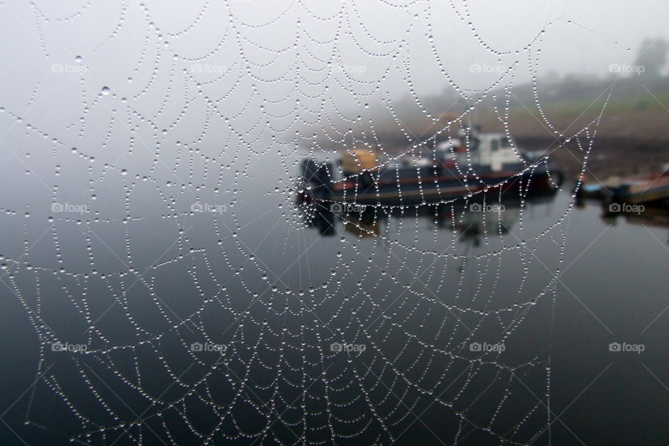 Shore and boat on the river in the fog