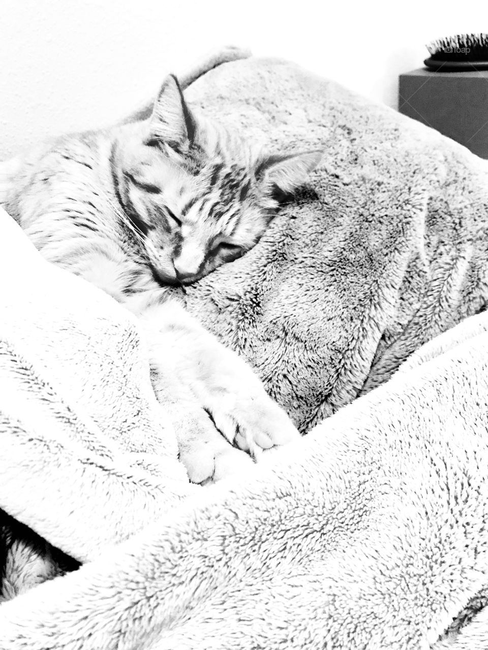 Darling black and white photo of orange tabby cat laying all stretched out in bed. 