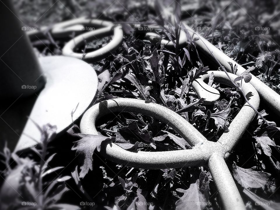 Monochrome, Nature, Closeup, No Person, Leaf