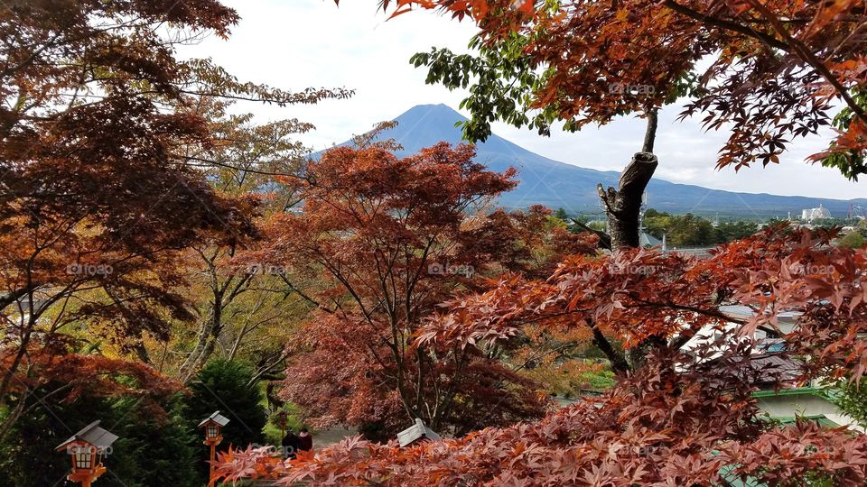 Mount Fuji