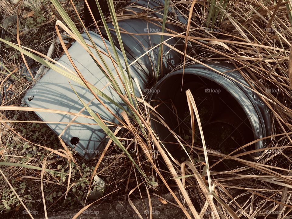 Hawthorne Nursery urbex abandoned