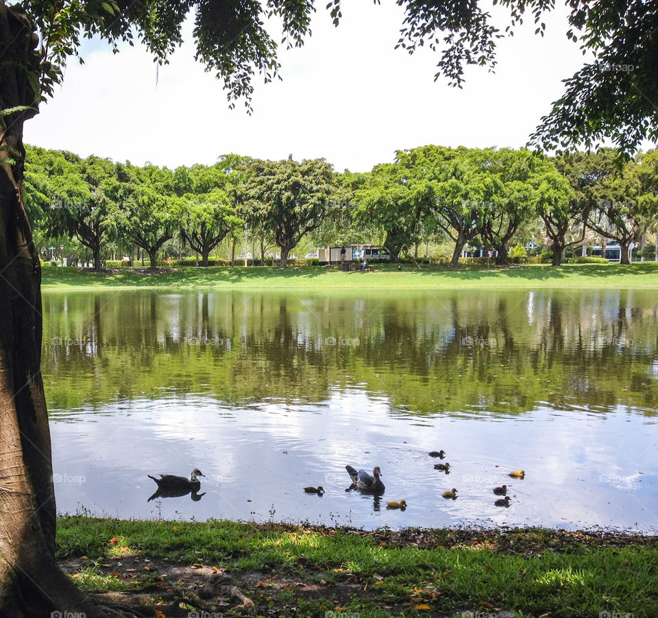 Water, Nature, Lake, No Person, Reflection