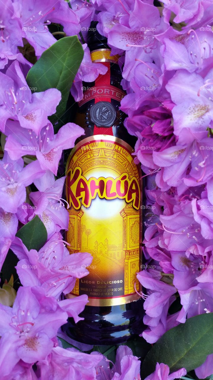 Kahlua in Flowers 