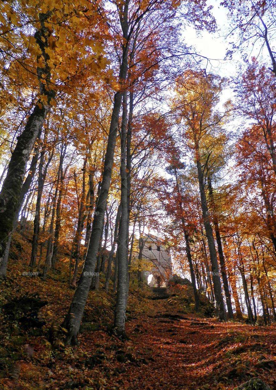 Autumn walking, Slovakia