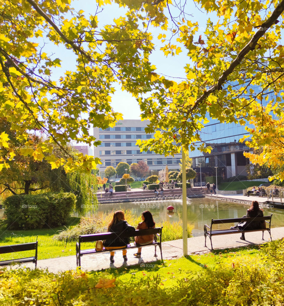 Noon relax in the city park