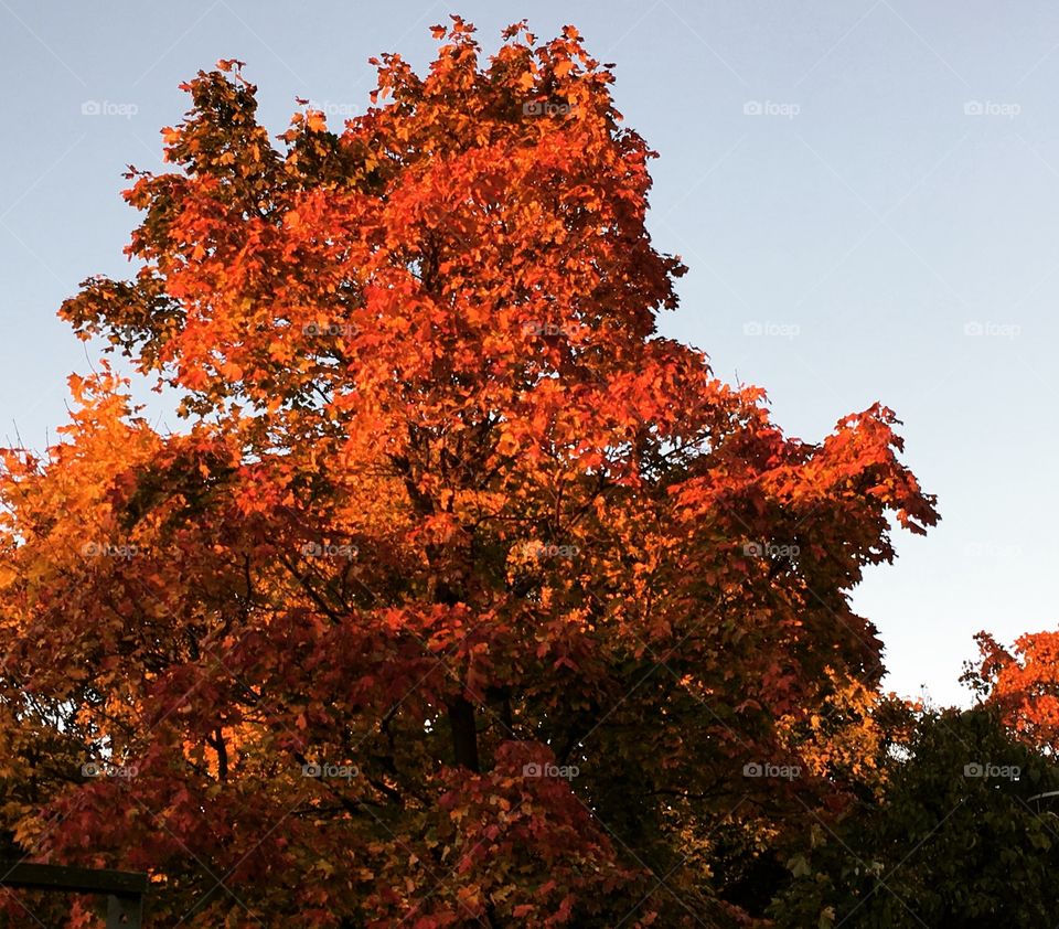 Autumn in Helsinki 