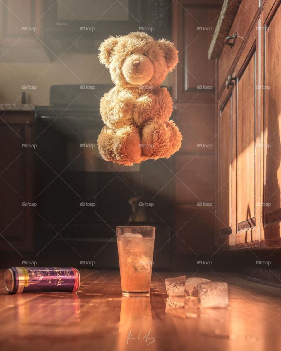 Beer and bear whit a bit Photoshop 🐻🍻📷