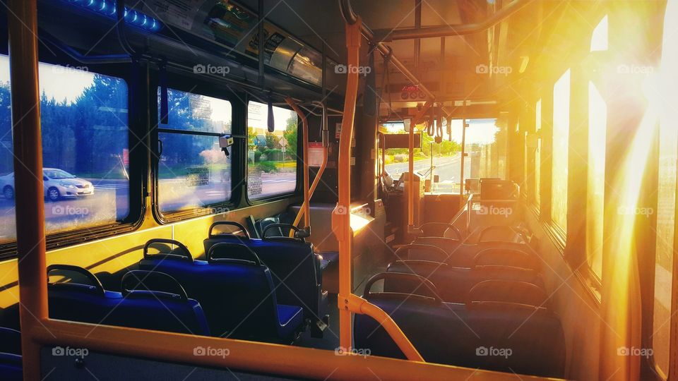 BIGGEST LITTLE CITY IN THE WORLD