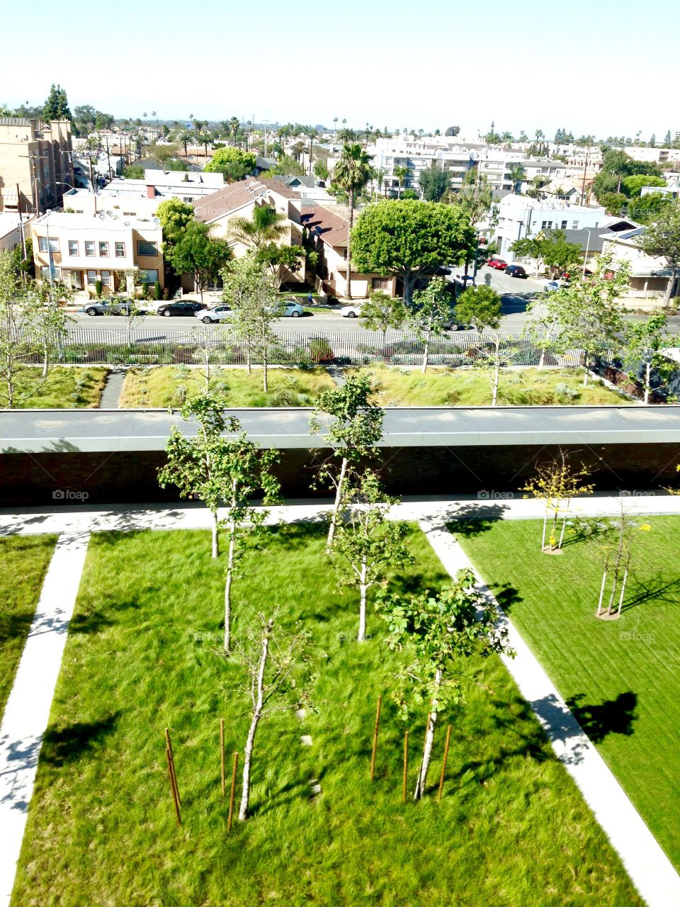 City View

Published by:
HappyBrownMonkey 