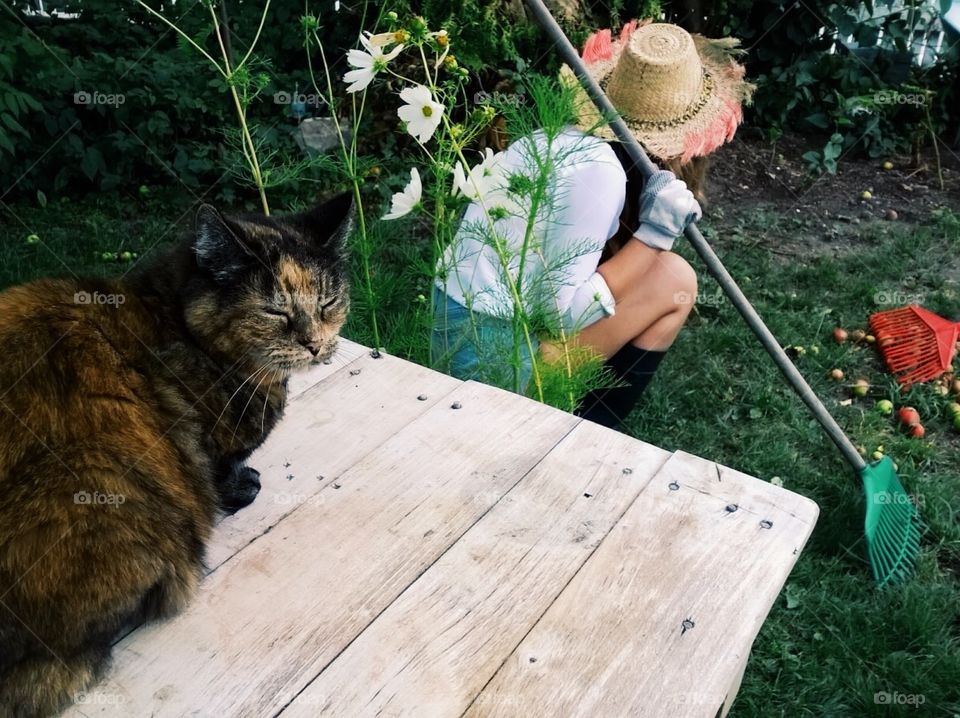 A girl gardening while her cat watching 