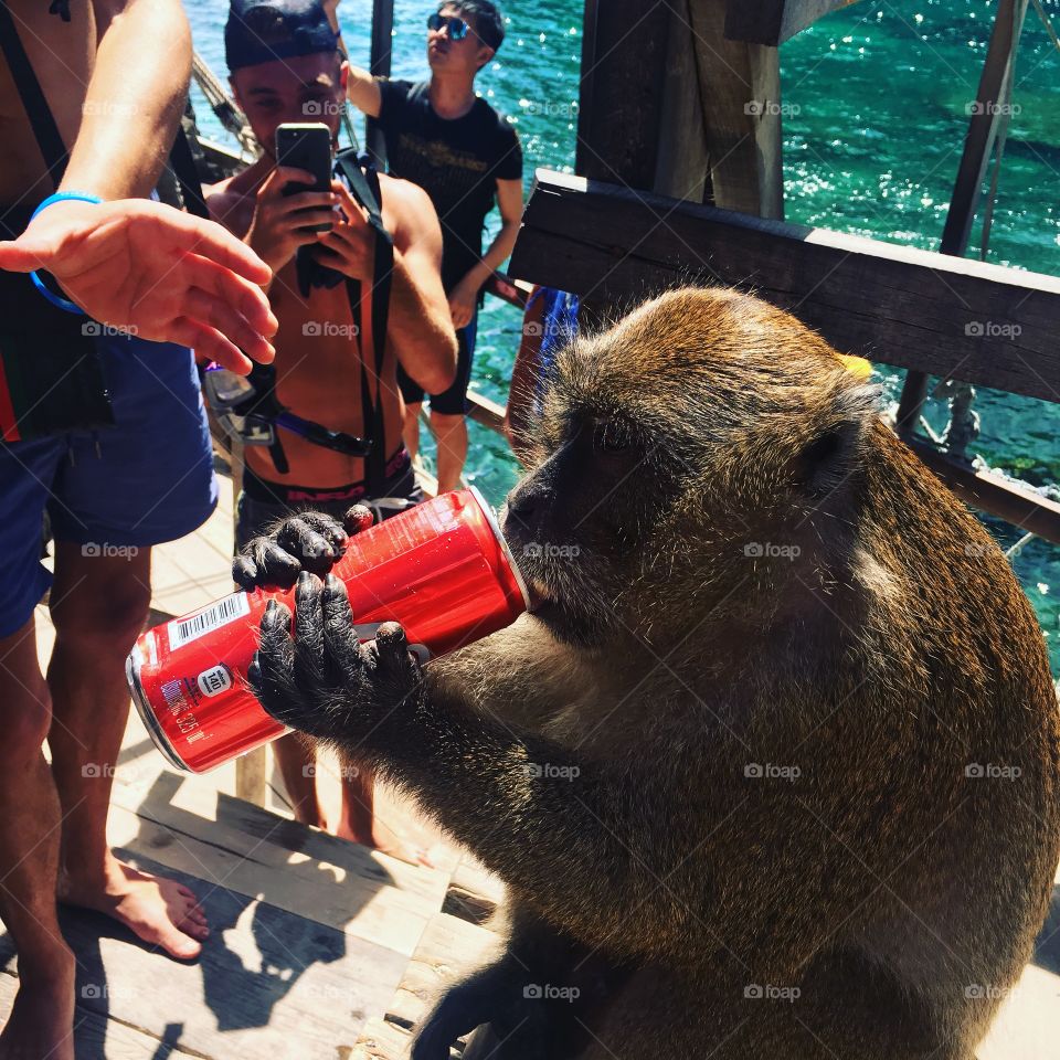 People, Mammal, Two, No Person, One