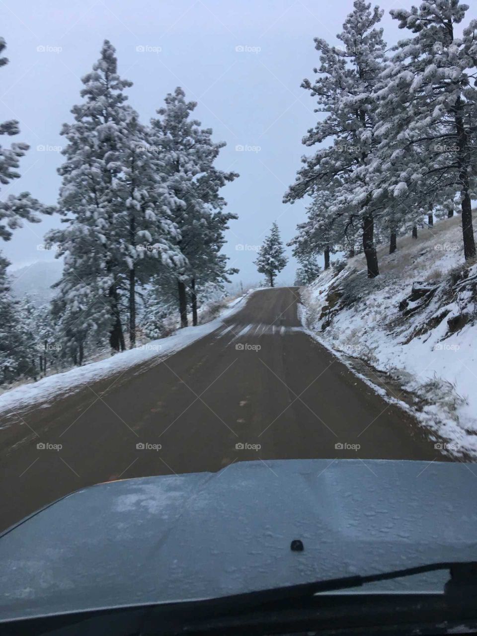 we love deferent we deferent  but only thing witch not deferent is we have the same body