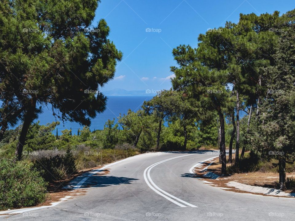 Open winding asphalt road with two solid lines leading down to the mediterranean sea with green cypress trees on the roadside on Mount Felirimos in Greece island of Rhodes, close-up side view.