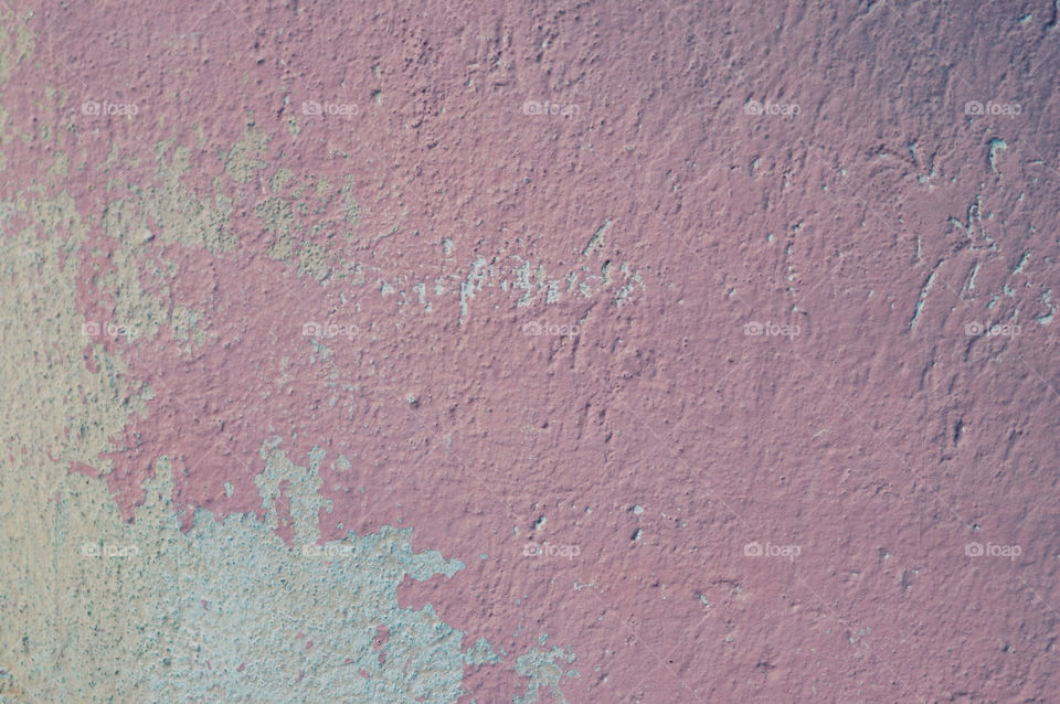 Close-up of pink peel