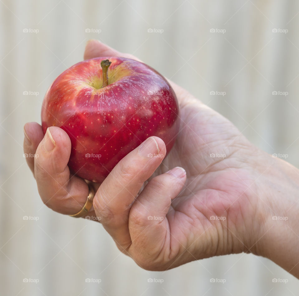 Ripe apple in a woman's hand