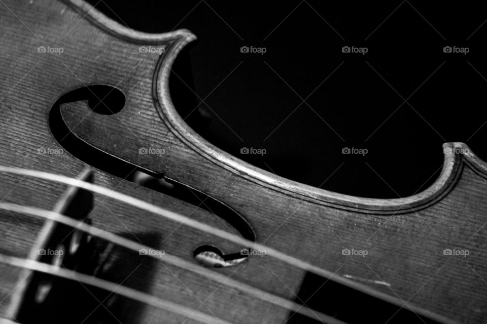 black and white of a viola