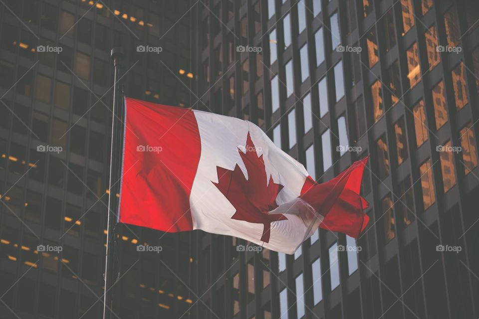 beautiful Canada flag waving in Toronto wind