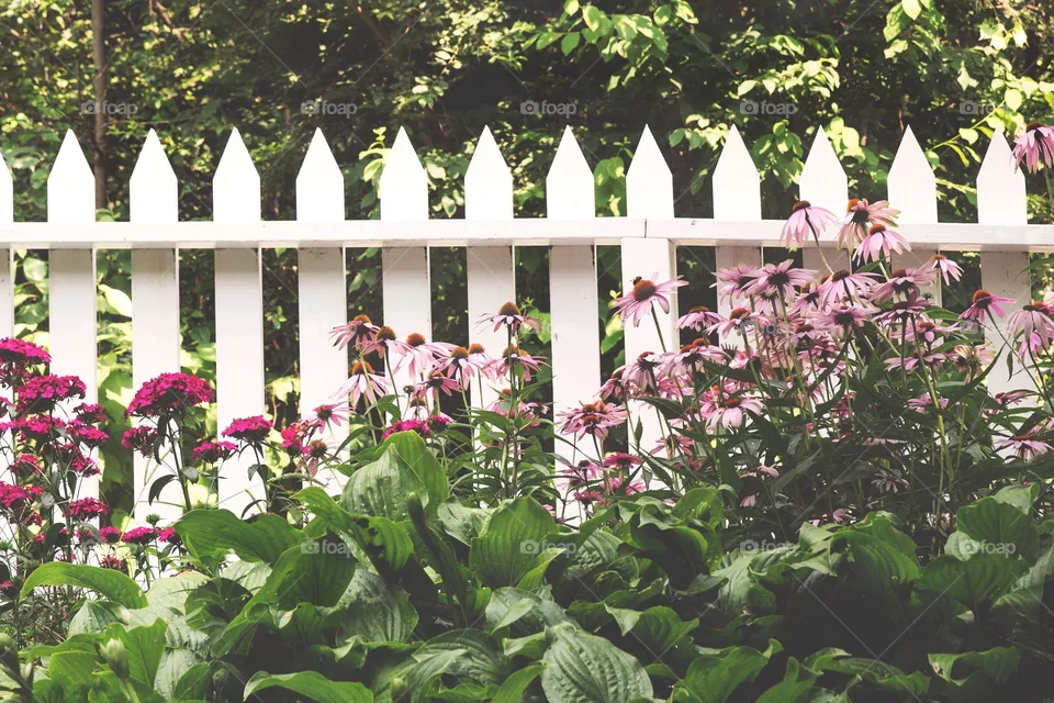 Flower Garden