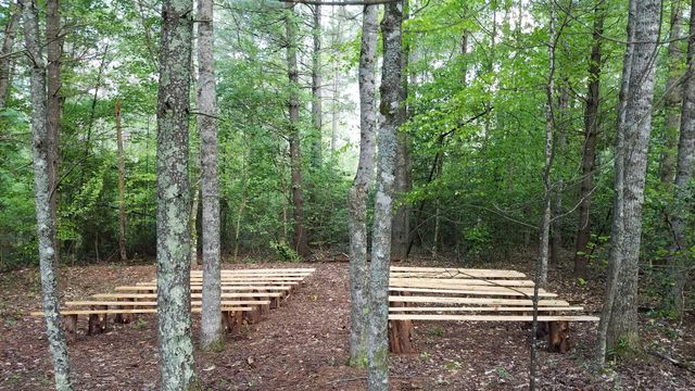 outdoor wedding in the woods
