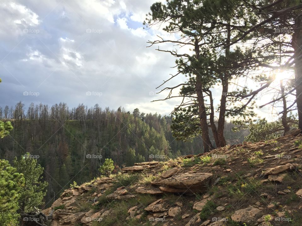 Mountain Scenery. View over a mountain canyon 