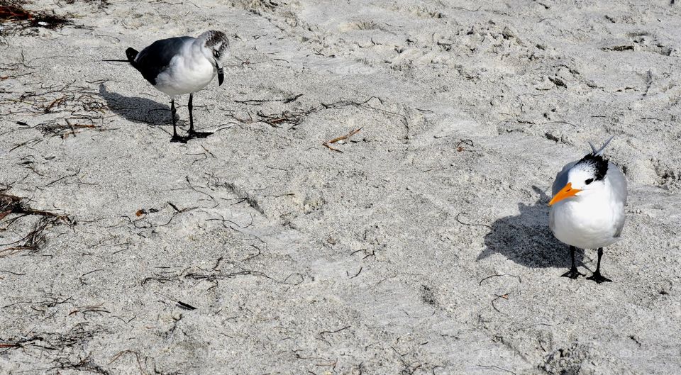 One Hundred One...One Hundred Two....