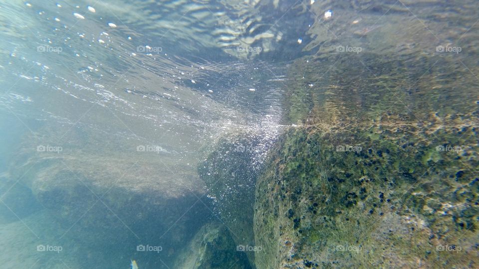 Beautiful colors of Bermuda’s Waters below the surface underwater 