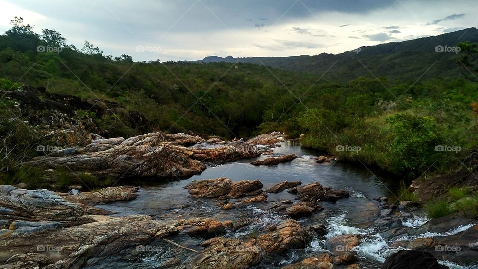 Water stream flowing in forest