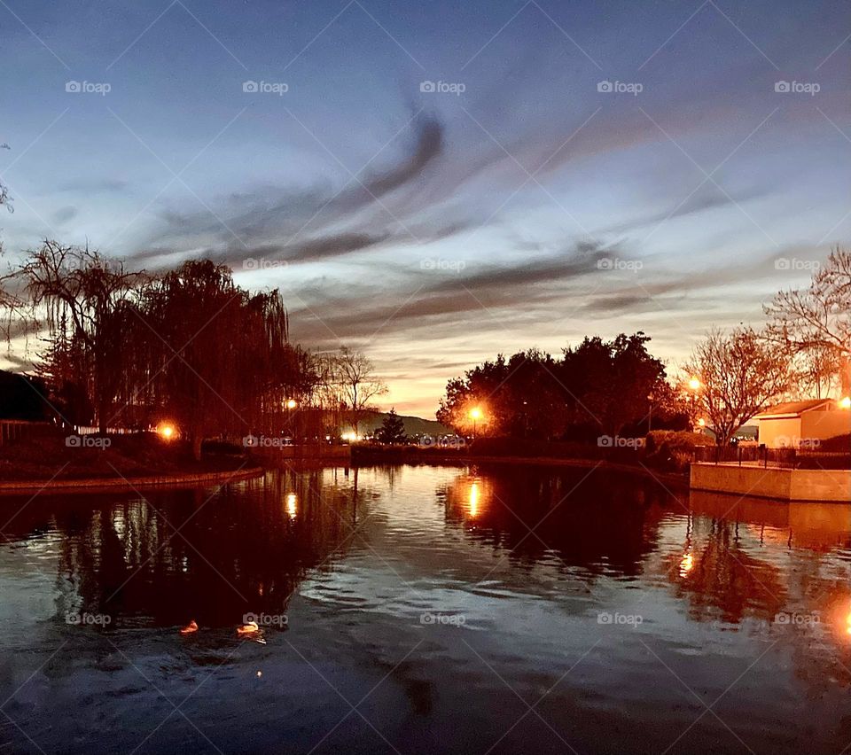 Evening sky and lights reflecting on the pond 