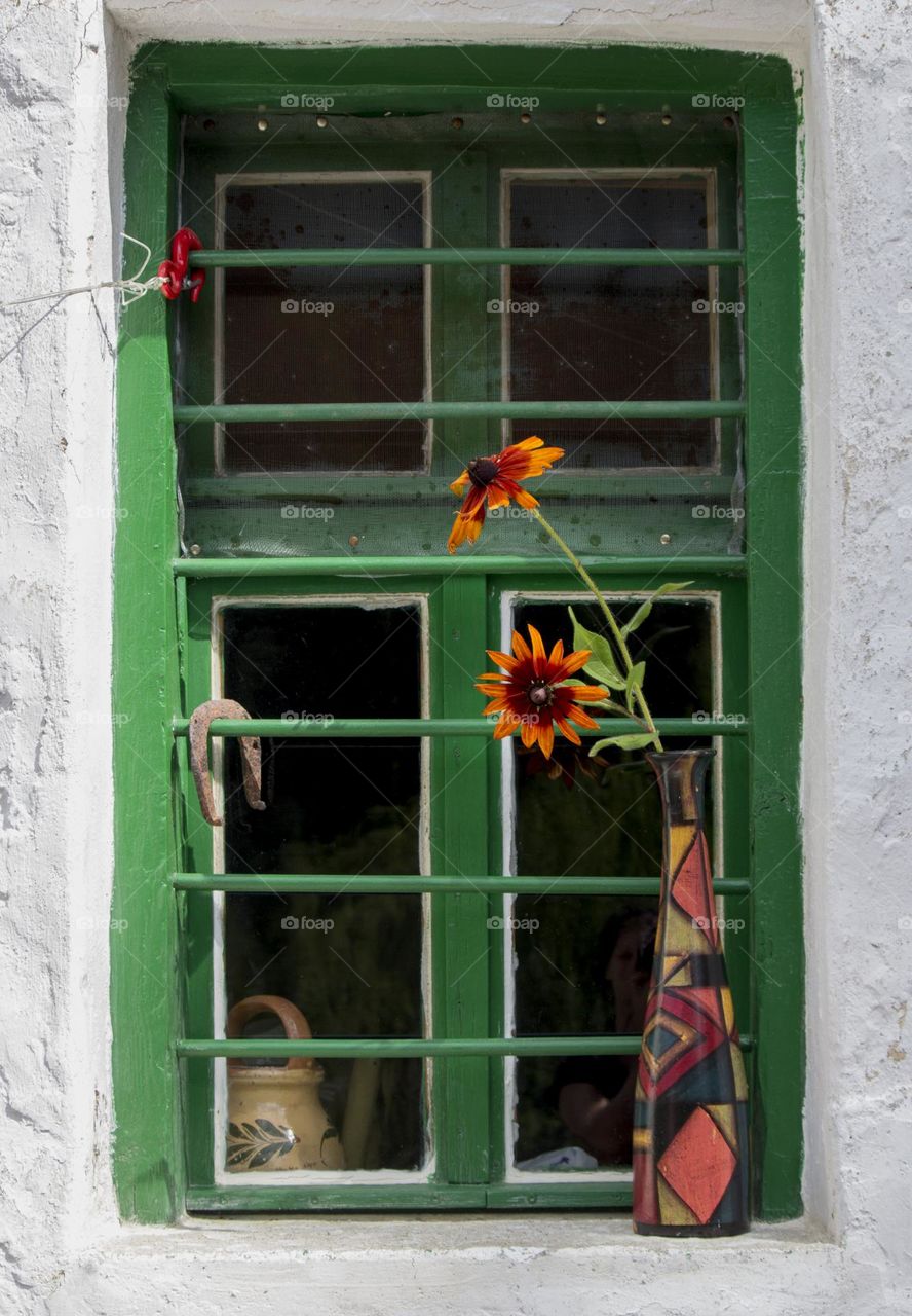 Green window of countryside home