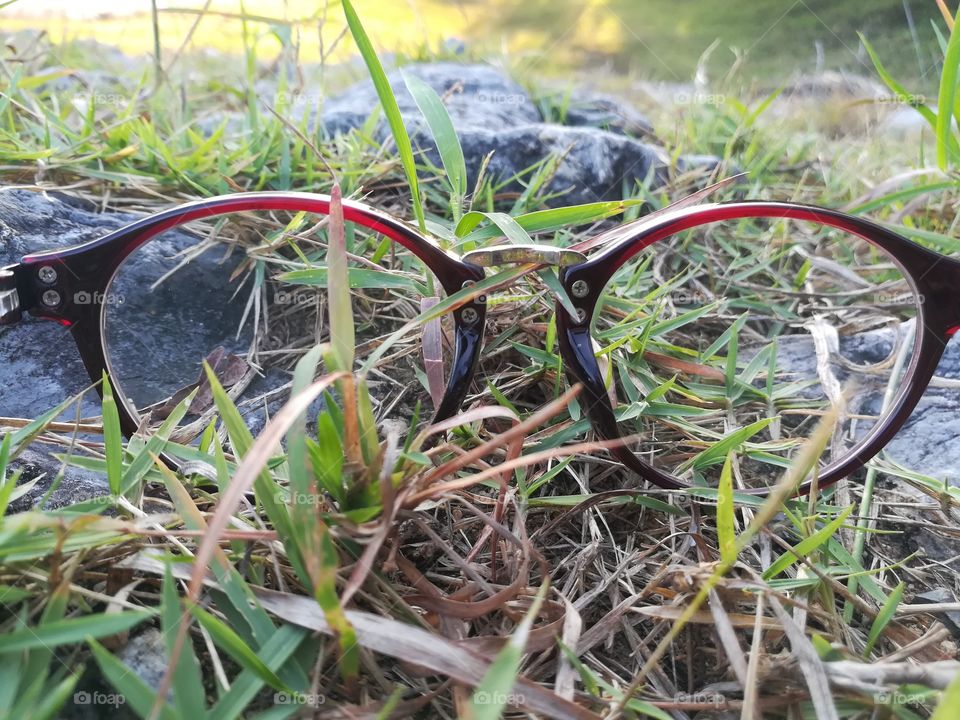 glasses on grass