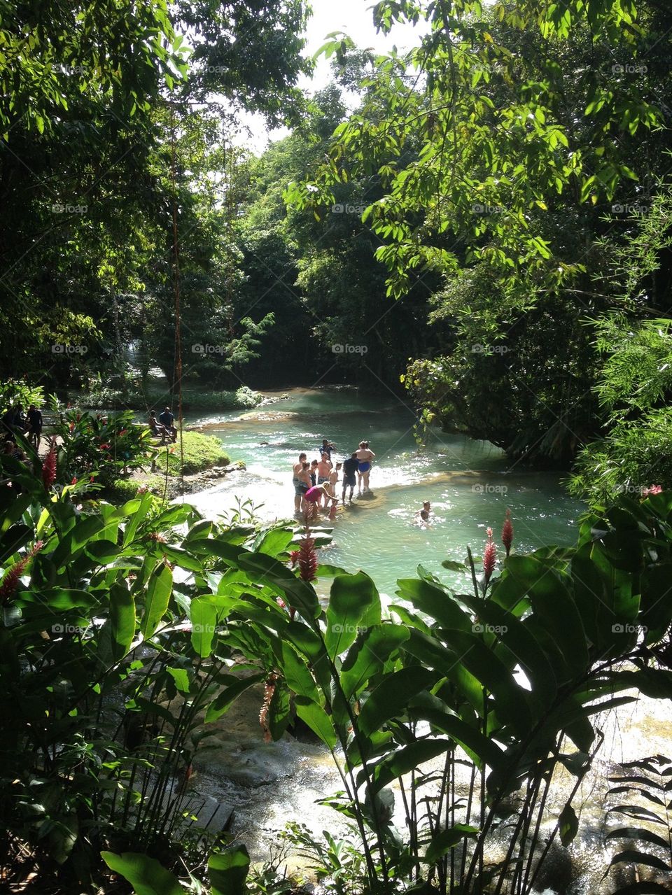 Rios Ochos Jamaica. Excursion from Montego Bay