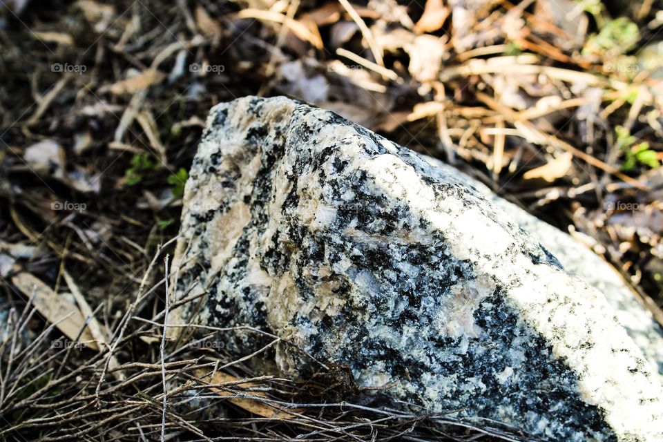 Closeup of a rock