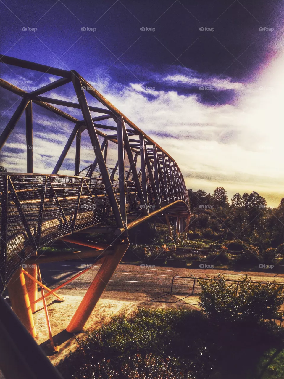 Bridge 