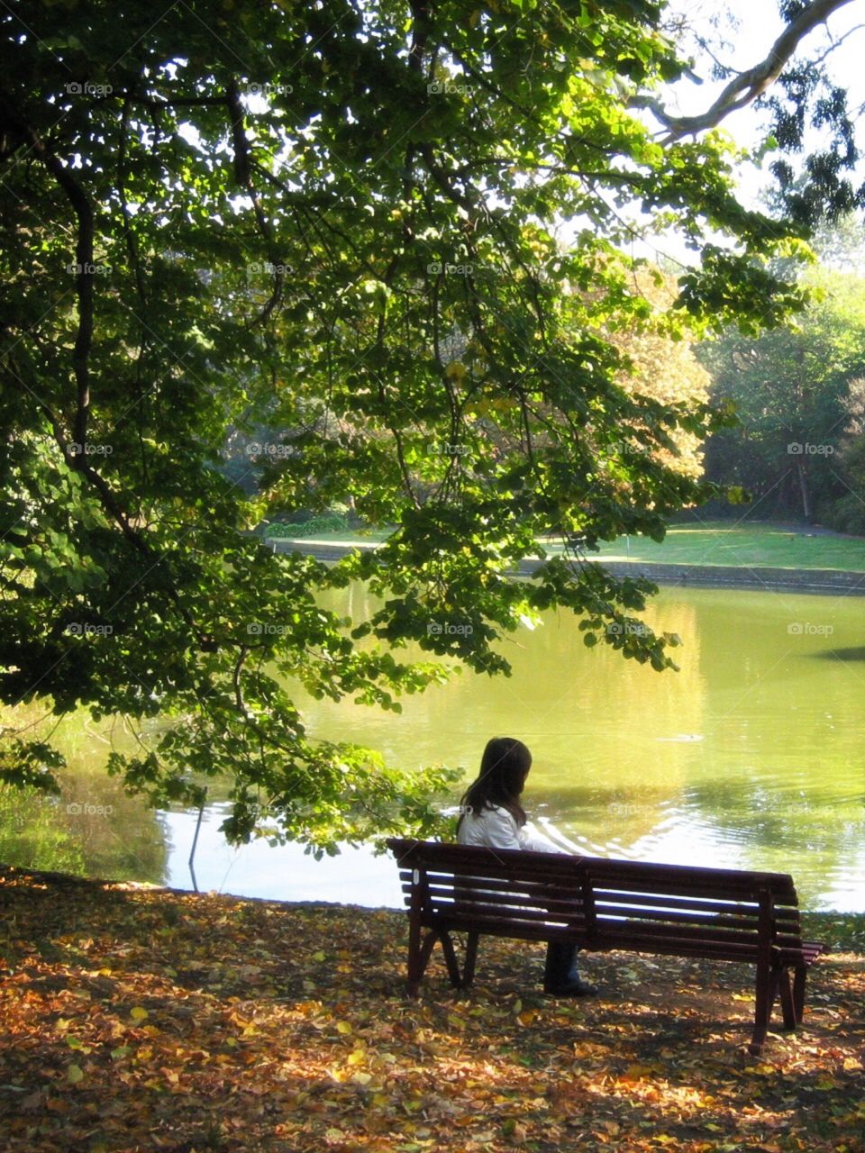 Sit in the park