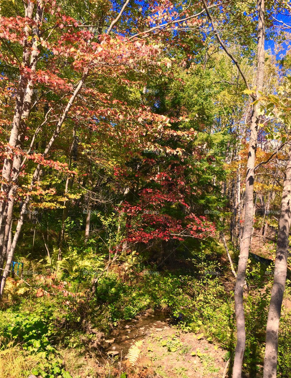 Beautiful day in October 