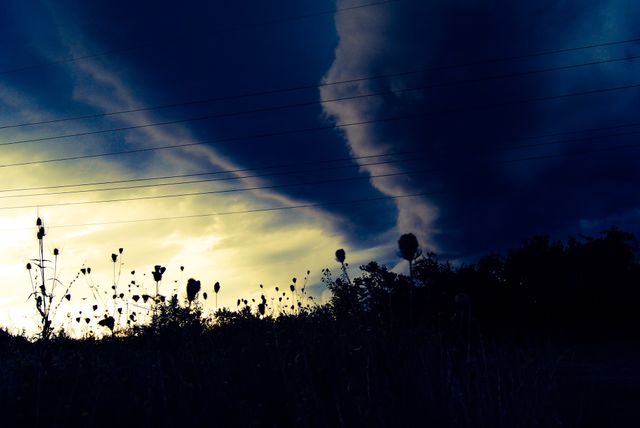 Thunder Rolls