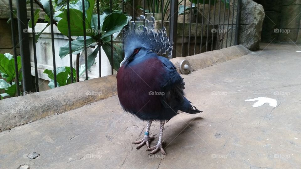 slightly blurry. but still a cool shot!