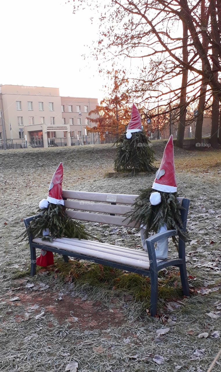 christmas dwarfs on a bench