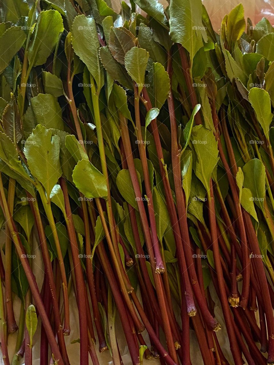 I need your support guys, I'm very, very poor, poor