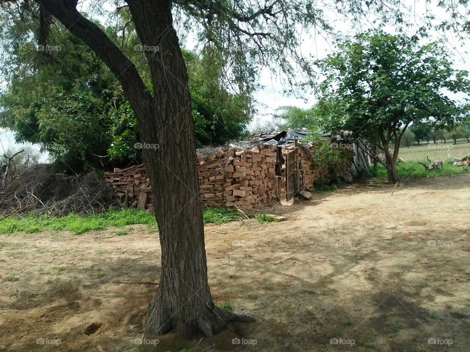 India  village home