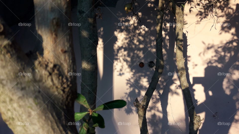 صور فوطوغرافية جزء 1🤓