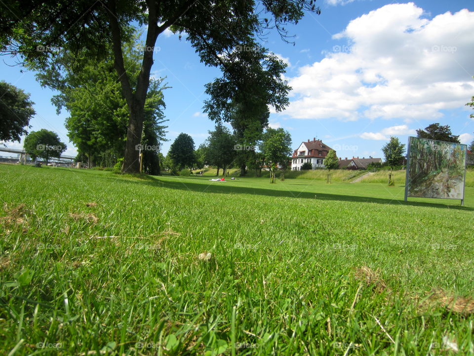 Grass, Landscape, Lawn, Hayfield, Summer