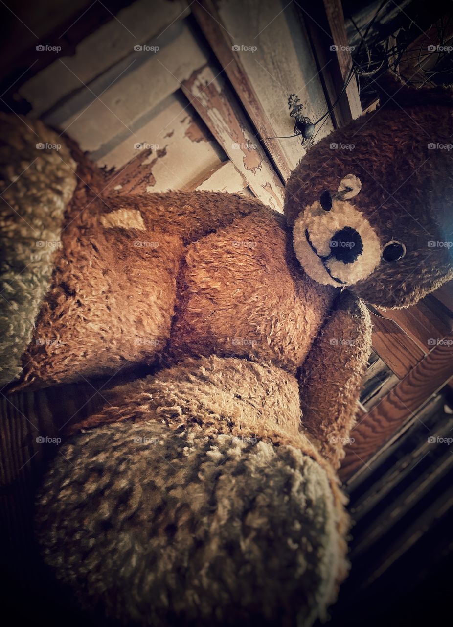 Sad teddy 